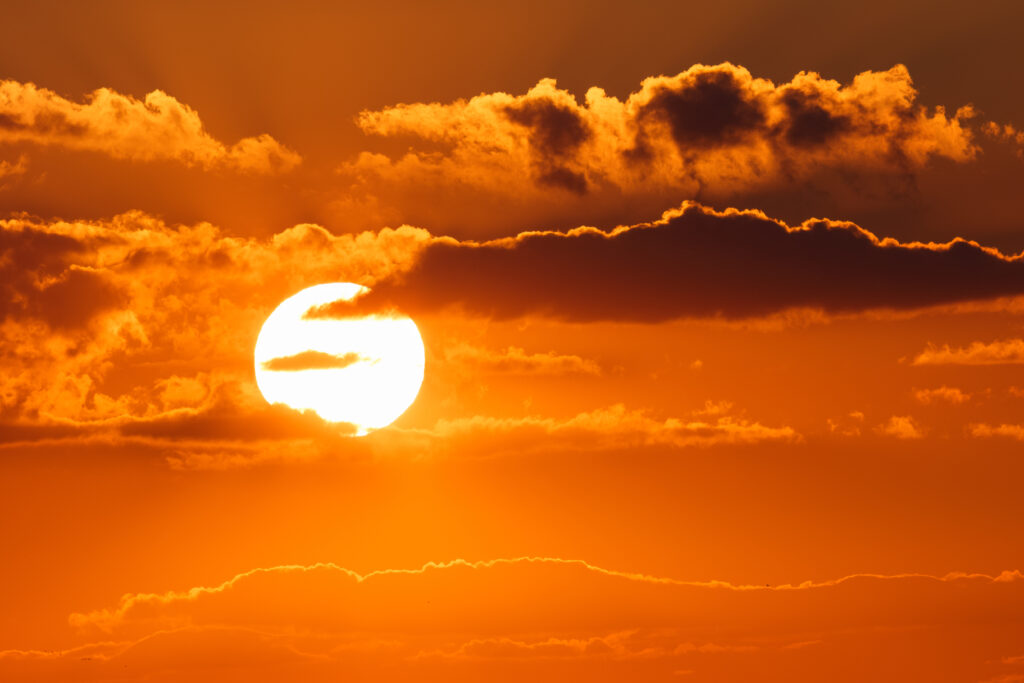"O Poder da Vitamina D: Fortaleça Ossos, Imunidade e Energia"